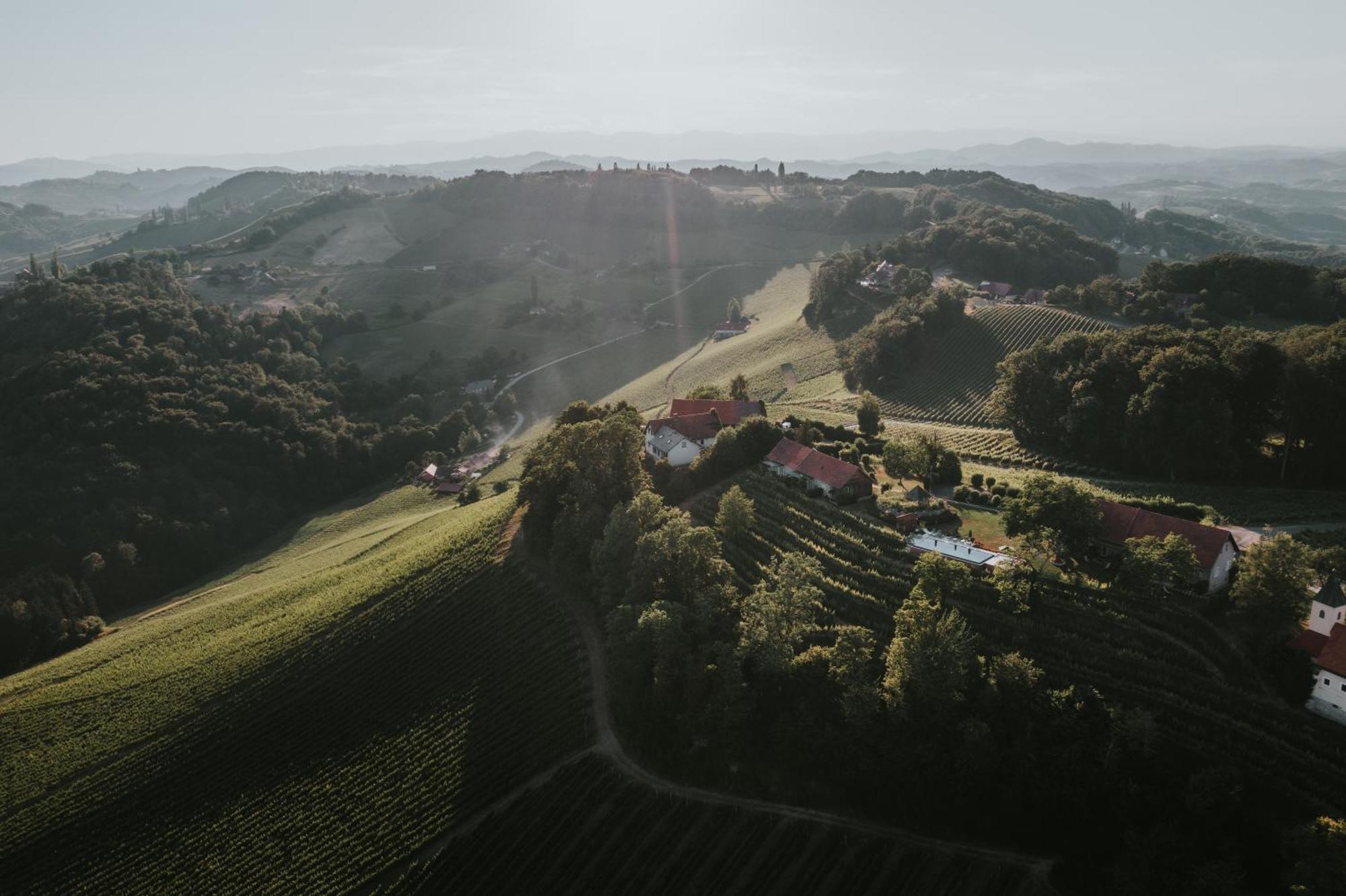 Winzarei, Weingut Tement Villa Berghausen Kültér fotó